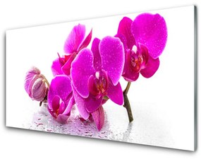 Glas schilderij Bloemen van het viooltje 100x50 cm