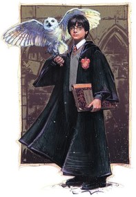 Kunstafdruk Harry Potter with Hedvig - Art, (26.7 x 40 cm)