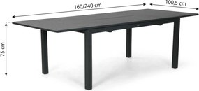 Dining Tuintafel rechthoekig uitschuifbaar 160/240x100 cm Grijs Arvento