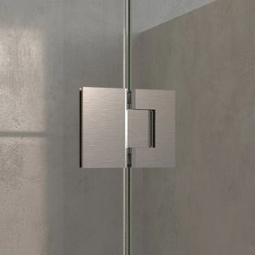 Brauer Void Carving profielloze nisdeur 200cm met draaideur 70cm aan glas RVS geborsteld PVD