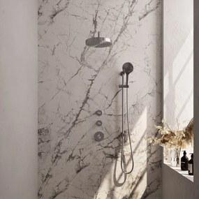 Brauer Stripe inbouw regendouche met 25cm hoofddouche, gebogen muurarm en 3 standen handdouche en glijstang set 11 RVS geborsteld PVD