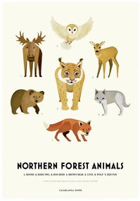 Ilustratie Northern Forest Animals, Erik Wintzell