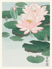 Kunstdruk Water Lily / Lotus (Japandi Vintage) - Ohara Koson, (30 x 40 cm)
