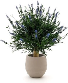 + 15% kassakorting | Kunstplant Designplants Luca Lifestyle | Blauw Kunststof | Inclusief bloempot | Geschikt voor buiten en binnen | Kees Smit Tuinmeubelen