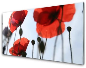 Glas schilderij Poppies fabriek 100x50 cm