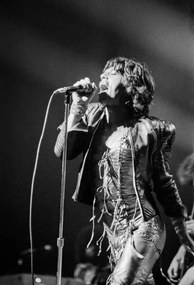 Kunstfotografie Rolling Stones, 1973, (26.7 x 40 cm)