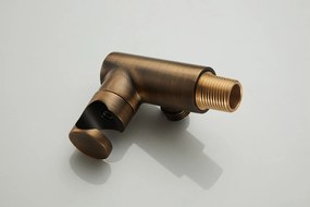 Saniclear Plus draaibare handdouche houder met wateraansluiting verouderd messing