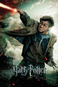 Kunstafdruk Harry Potter - Battle of Hogwarts