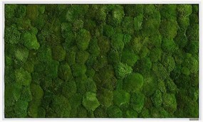 Handgemaakt bolmos wanddecoratie Forest, ingelijst