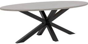 Goossens Eettafel Stone, Ovaal 210 x 120 cm