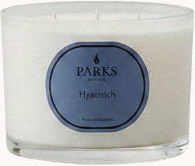 Handgemaakte 3-lonts geurkaars Vintage Aromatherapy (hyacint, groene bloemen & witte muskus)