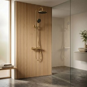 Doucheset Rea Avanti Brush Gold