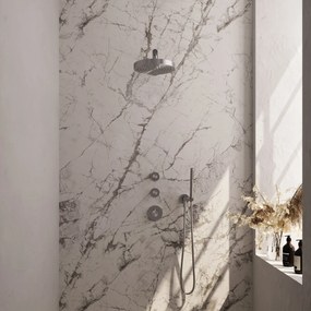 Brauer Stripe inbouw regendouche met 25cm hoofddouche, rechte muurarm en staafhanddouche set 1 RVS geborsteld PVD
