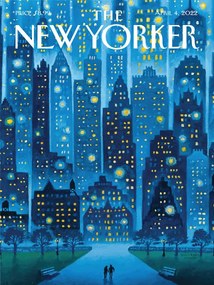 Ilustratie The NY Magazine Cover 342