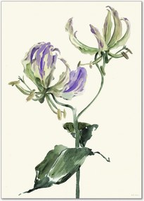 Poster Gloriosa