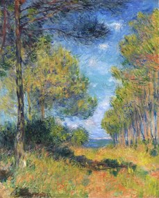 Kunstreproductie Allée de sapins à Varengeville, Claude Monet