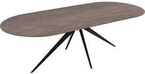 Goossens Excellent Eettafel Uniek, Semi rond 260 x 100 cm