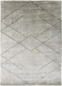 Handgeweven laagpolig viscose vloerkleed Tetsu