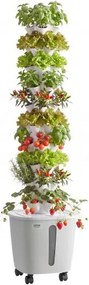 VEVOR Hydroponische Toren, 50 Pods, 10-laags Hydroponische Toren, Hydroponisch Kweeksysteem Kit met App Bediening, Wielen, 20L Watertank & Pomp, Binnen Hydroponische Toren voor Kruiden, Fruit & Groenten