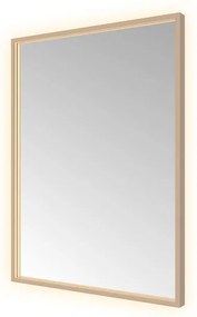 Hotbath &MORE Spiegel direct en indirect LED color changing spiegelverwarming met afstandsbediening Geborsteld koper PVD SQU680BCP