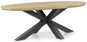 Dining Tuintafel ovaal 240 x 120 cm Aluminium/teak Old teak greywash Santika Diogo