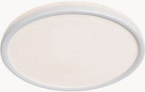 LED plafondlamp Liva