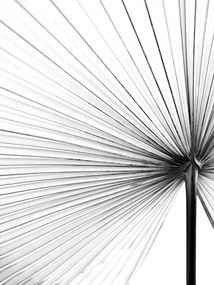 Foto Leaf, Magda Izzard