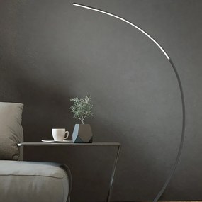 Design vloerlamp zwart incl. LED dimbaar - Dina Design Binnenverlichting Lamp