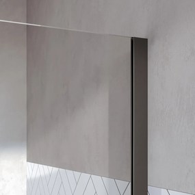 Brauer Stellar nisdeur met vaste wand 140cm gunmetal geborsteld PVD