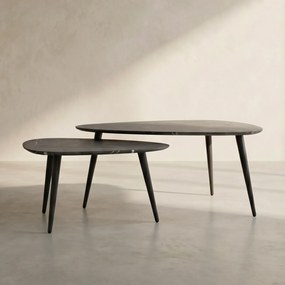 Salontafel Set Van 2 Peervormig Organisch - 80 X 44cm.