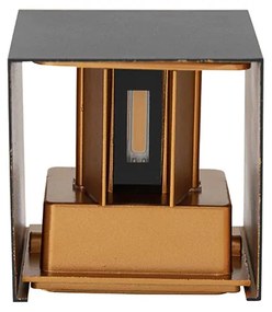 Buiten wandlamp zwart met goud incl. LED 2-lichts IP54 - Edwin