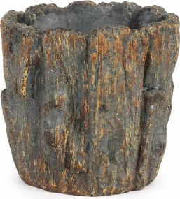Pot Fossil Bark