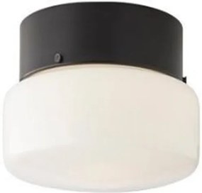 Plafondlamp Met 2 x G9 Fitting, Zwart, Melkwitte Glas, â20cm