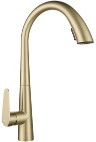 Keukenkraan REA Ross Gold Brush