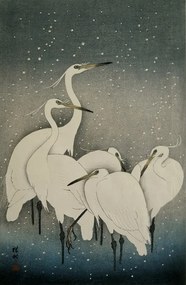 Group of Egrets - L - 120 x 180 cm