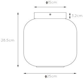 Lucide Joanet plafondlamp 25cm 1x E27 zwart