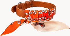 Hondenhalsband Twilly van appelhuid