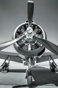 Poster Vliegtuig - Propeller, (61 x 91.5 cm)