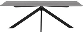 Goossens Excellent Eettafel Uniek, Rechthoekig 220 x 100 cm