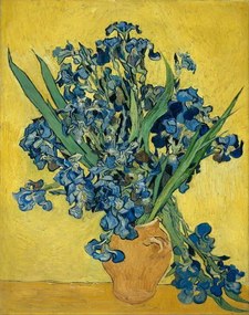 Vincent van Gogh - Kunstdruk Irises, 1890, (30 x 40 cm)
