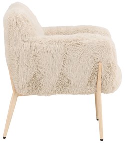 Fauteuil Met Zacht Imitatiebont