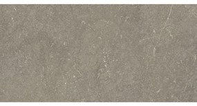 Cifre Ceramica Munich wandtegel - 25x50cm - Natuursteen look - Taupe mat (bruin) SW07314225-10