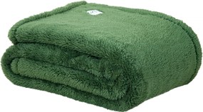 Teddy Fleece Deken - Ultrazacht - 130x170 - groen