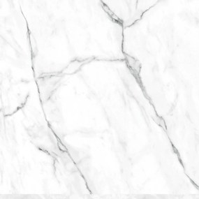 HSK RenoDeco paneel Aluminium 100x255cm Marmer Carrara-Wit Hoogglans