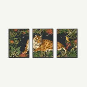 Natural History Museum, 'Vintage Tiger', set van 3 ingelijste prints, A2