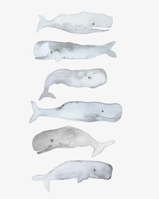 Ilustratie Kids Line Whale Art, Gemma Bardot
