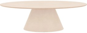 Goossens Eettafel Stone, Ovaal 250 x 120 cm