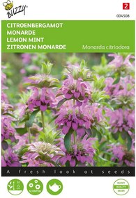 Buzzy seeds - bloemzaden - Monarda, Citroenbergamot