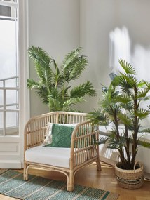 Kunstplant Jungle Fever | Pomax