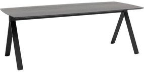 Goossens Excellent Eettafel Uniek, Semi rechthoekig 220 x 100 cm